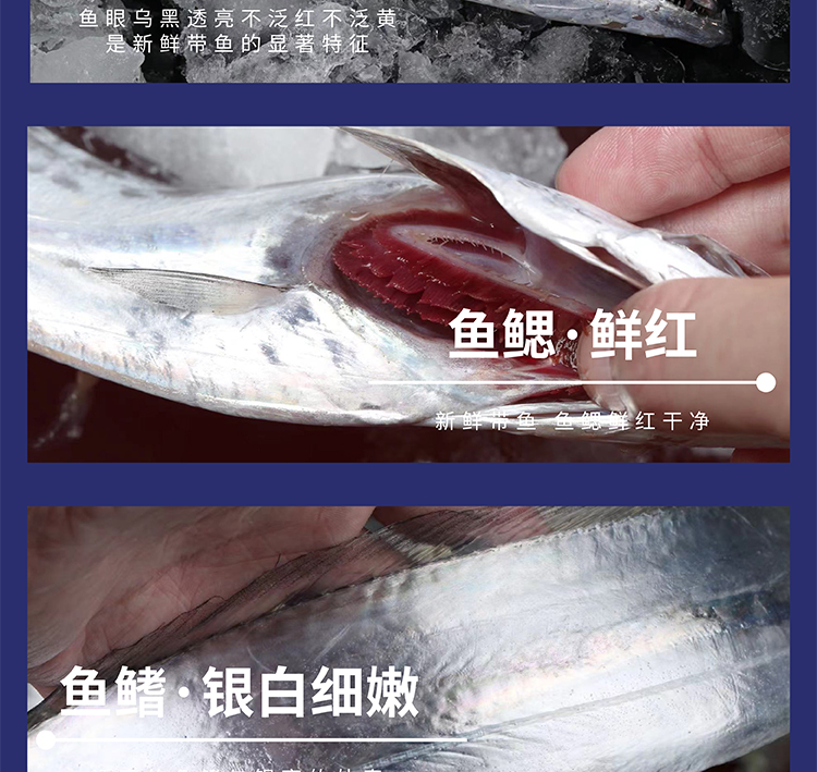 3_06.jpg