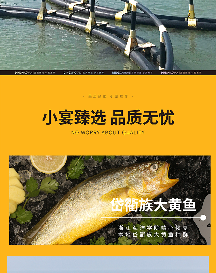 黄鱼详情图-1_06.jpg