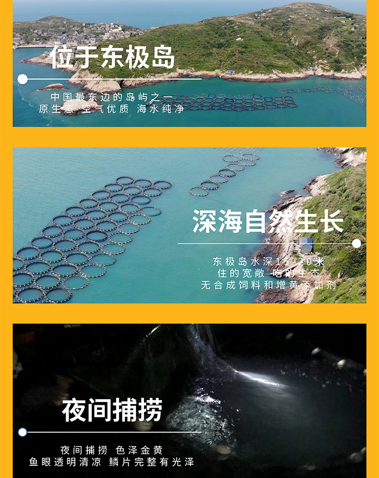 黄鱼详情图-1_07.jpg