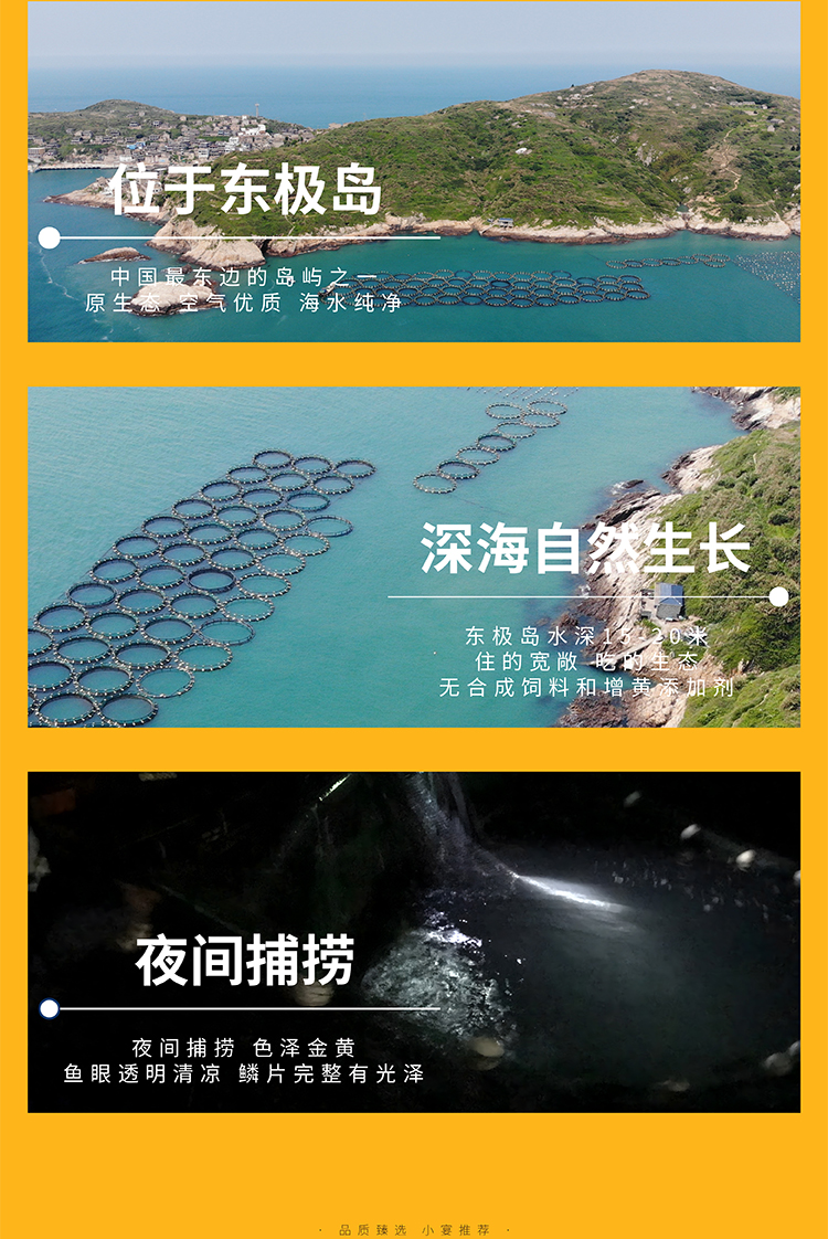 黄鱼详情图-最终稿_画板-1-副本_06.jpg