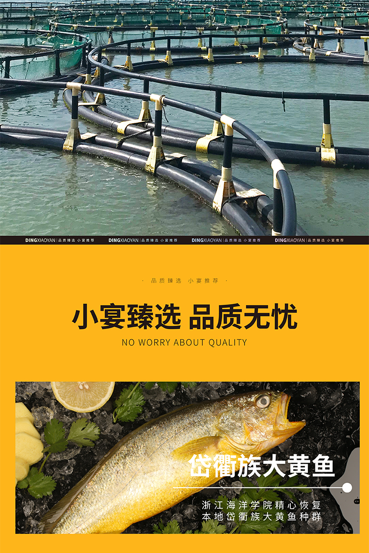 黄鱼详情图-最终稿_画板-1-副本_05.jpg