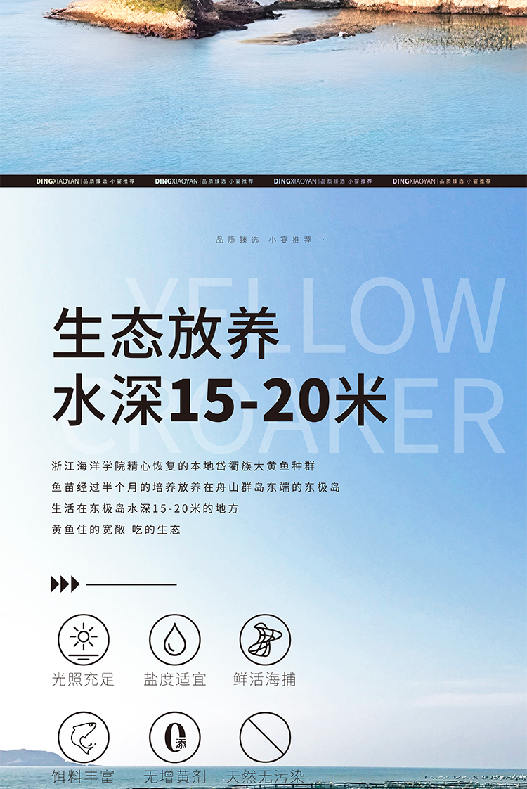 黄鱼详情图-最终稿_画板-1-副本_04.jpg