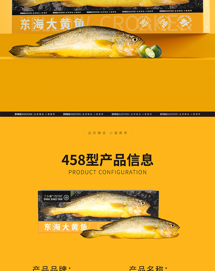 458_02.jpg