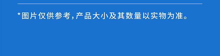 8_03.jpg